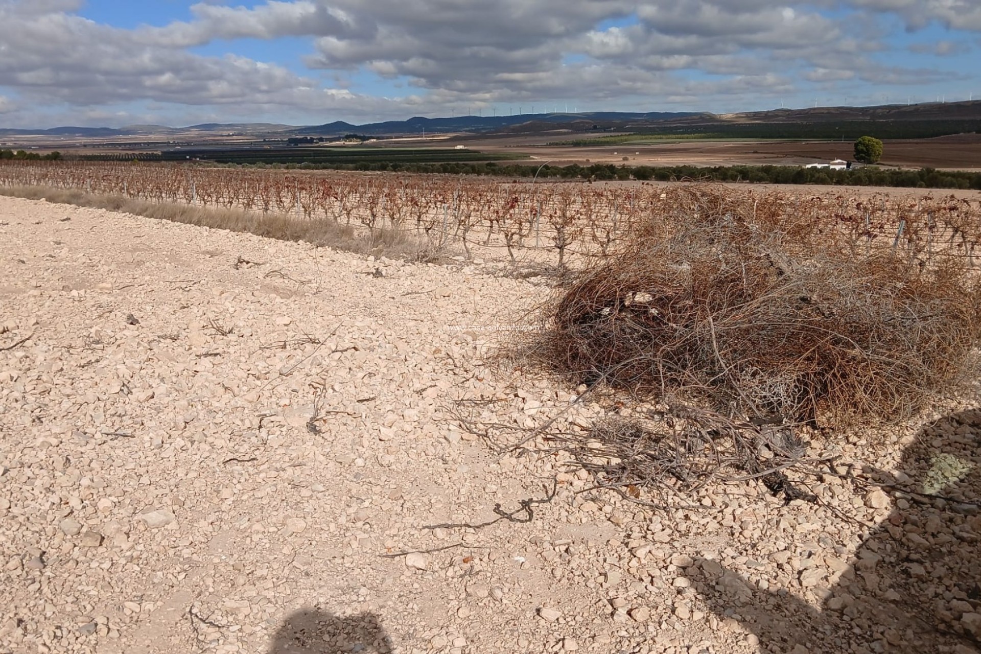 Revente - Land - Yecla - Inland