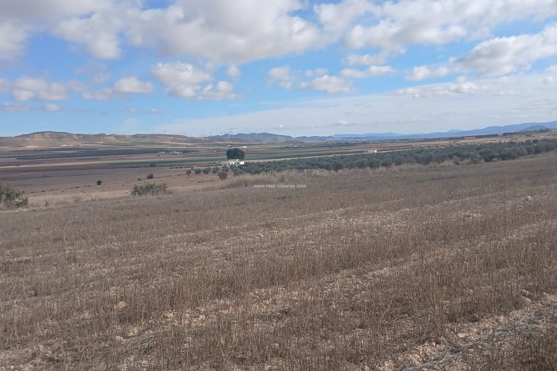 Revente - Land - Yecla - Inland