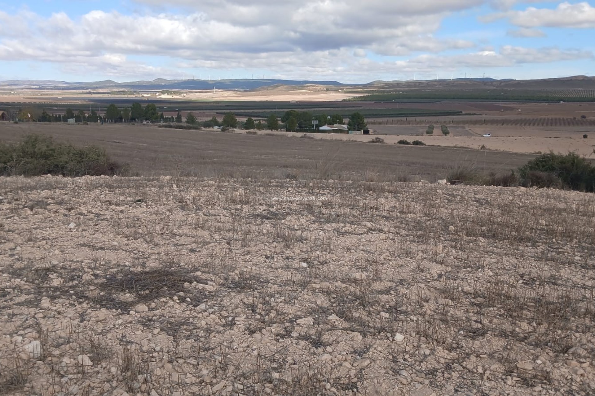 Revente - Land - Yecla - Inland