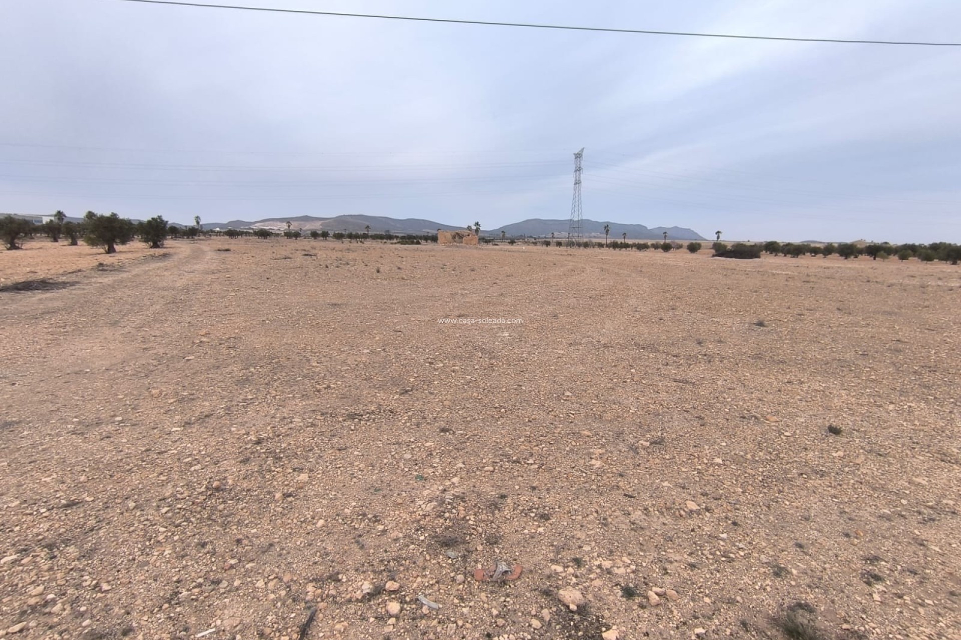 Revente - Land - Yecla - Inland
