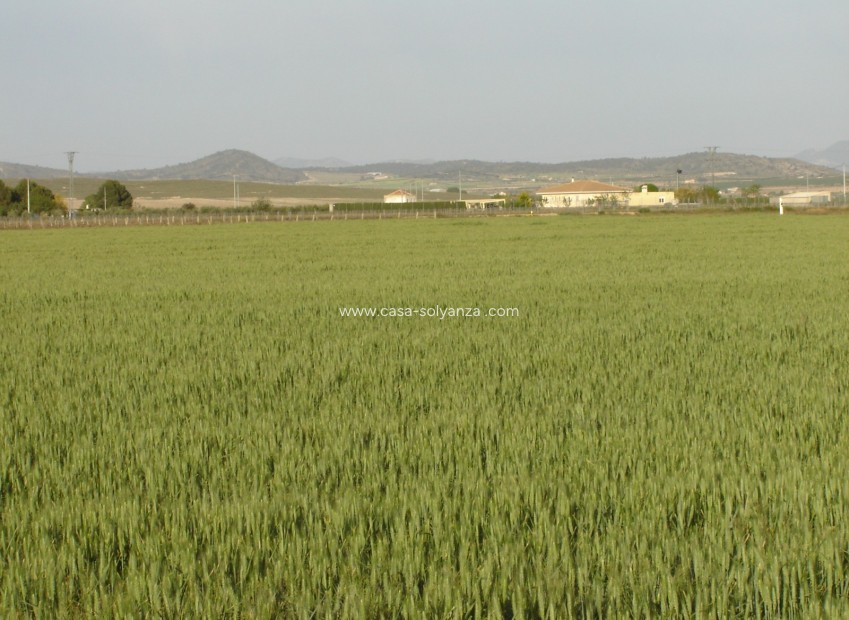Revente - Land - Yecla - Inland