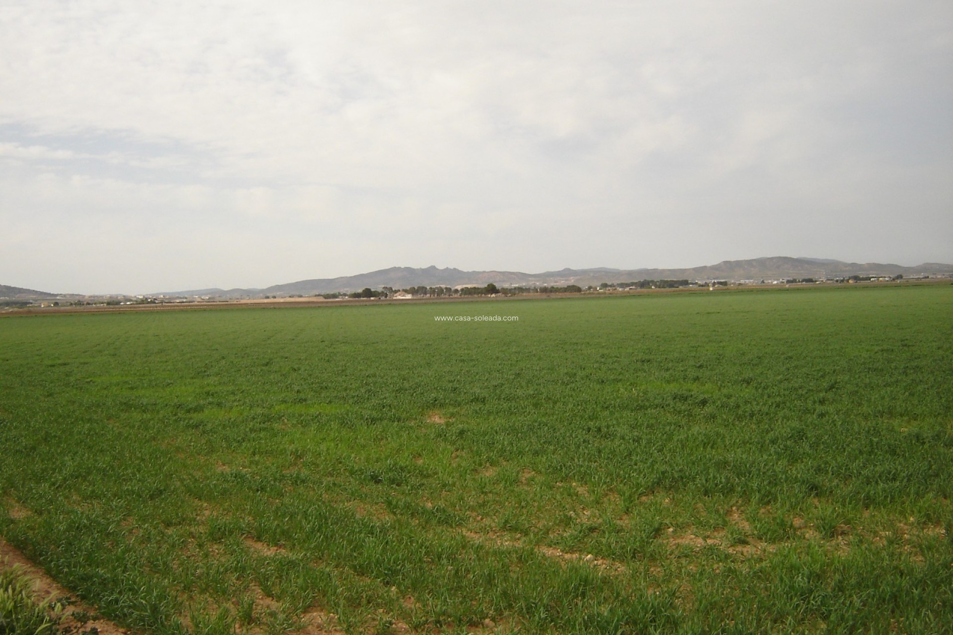 Revente - Land - Yecla - Inland