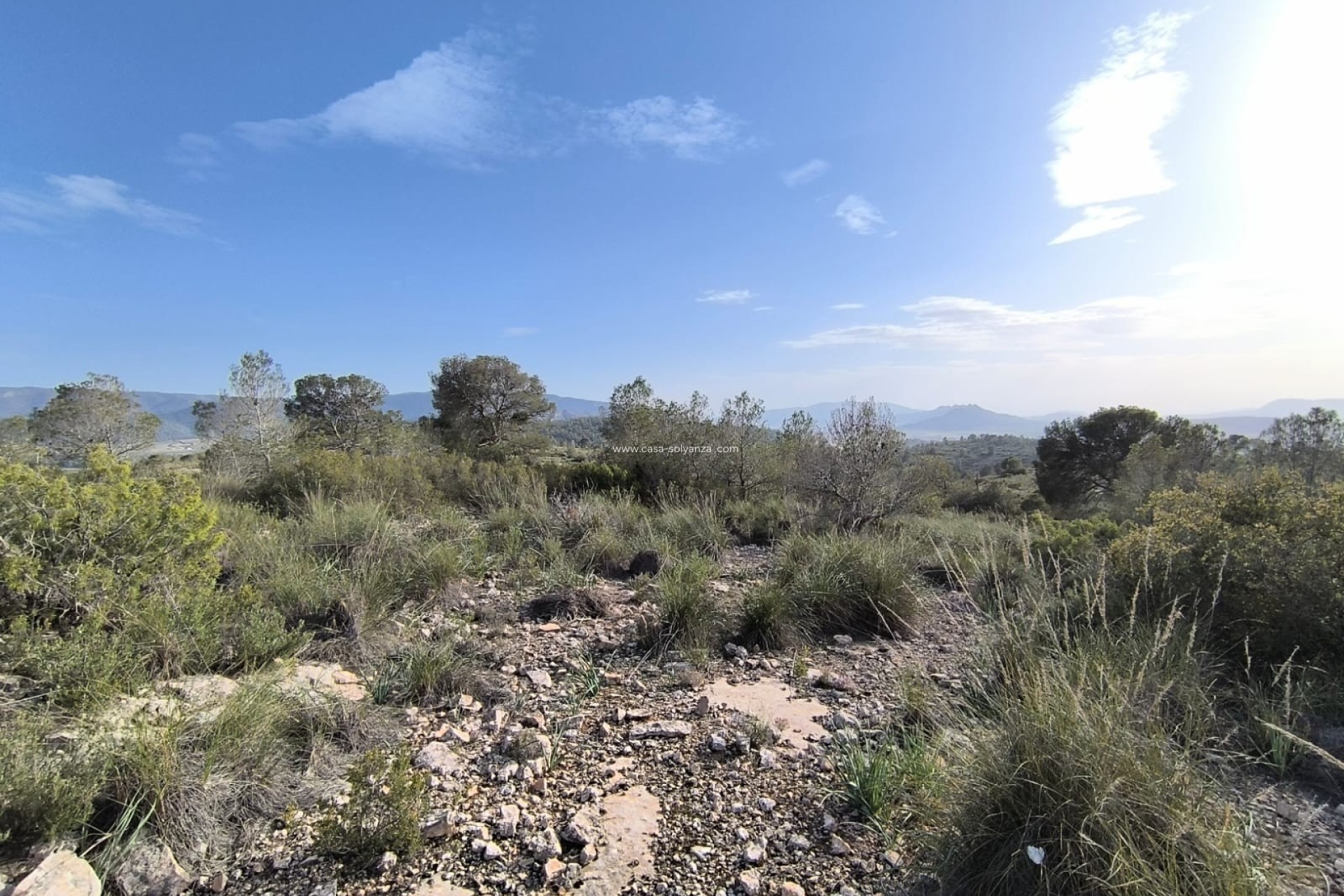 Revente - Land - Yecla - Inland