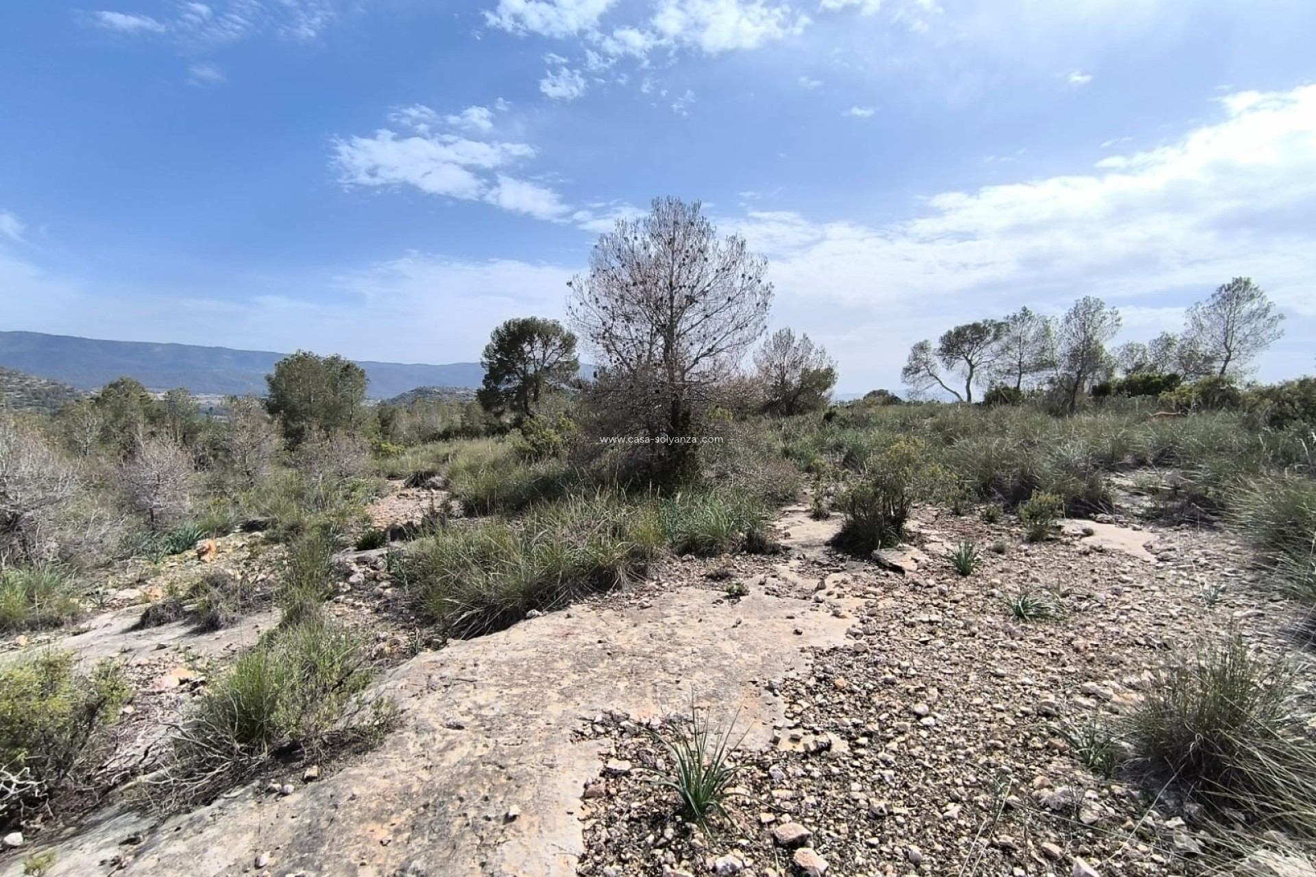 Revente - Land - Yecla - Inland