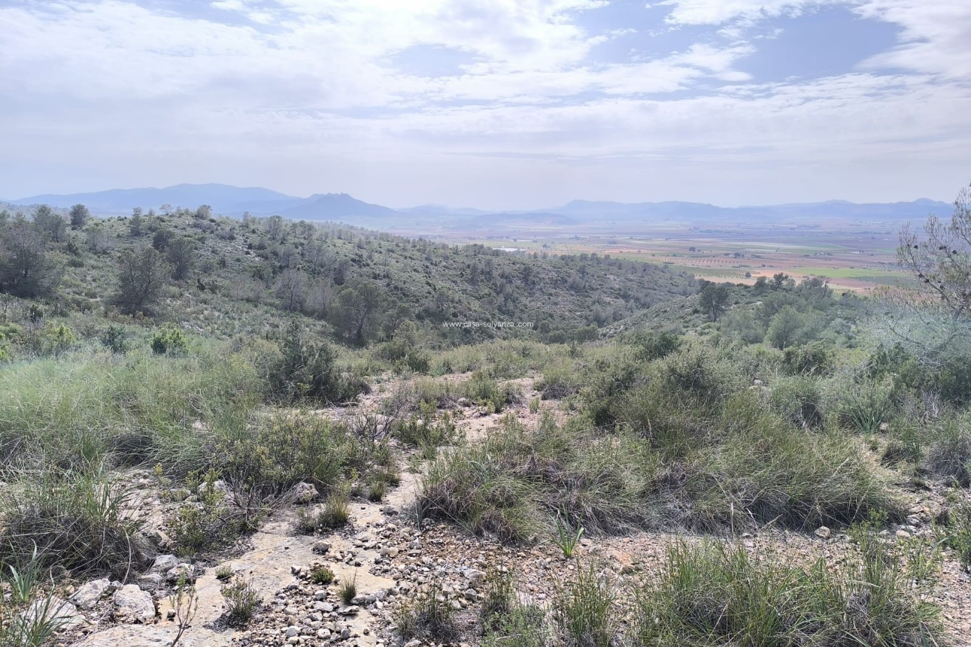 Revente - Land - Yecla - Inland