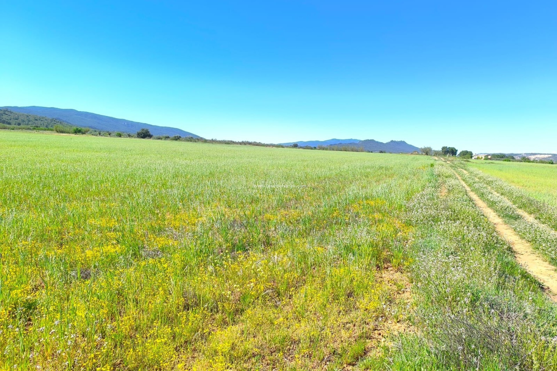 Revente - Land - Yecla - Inland