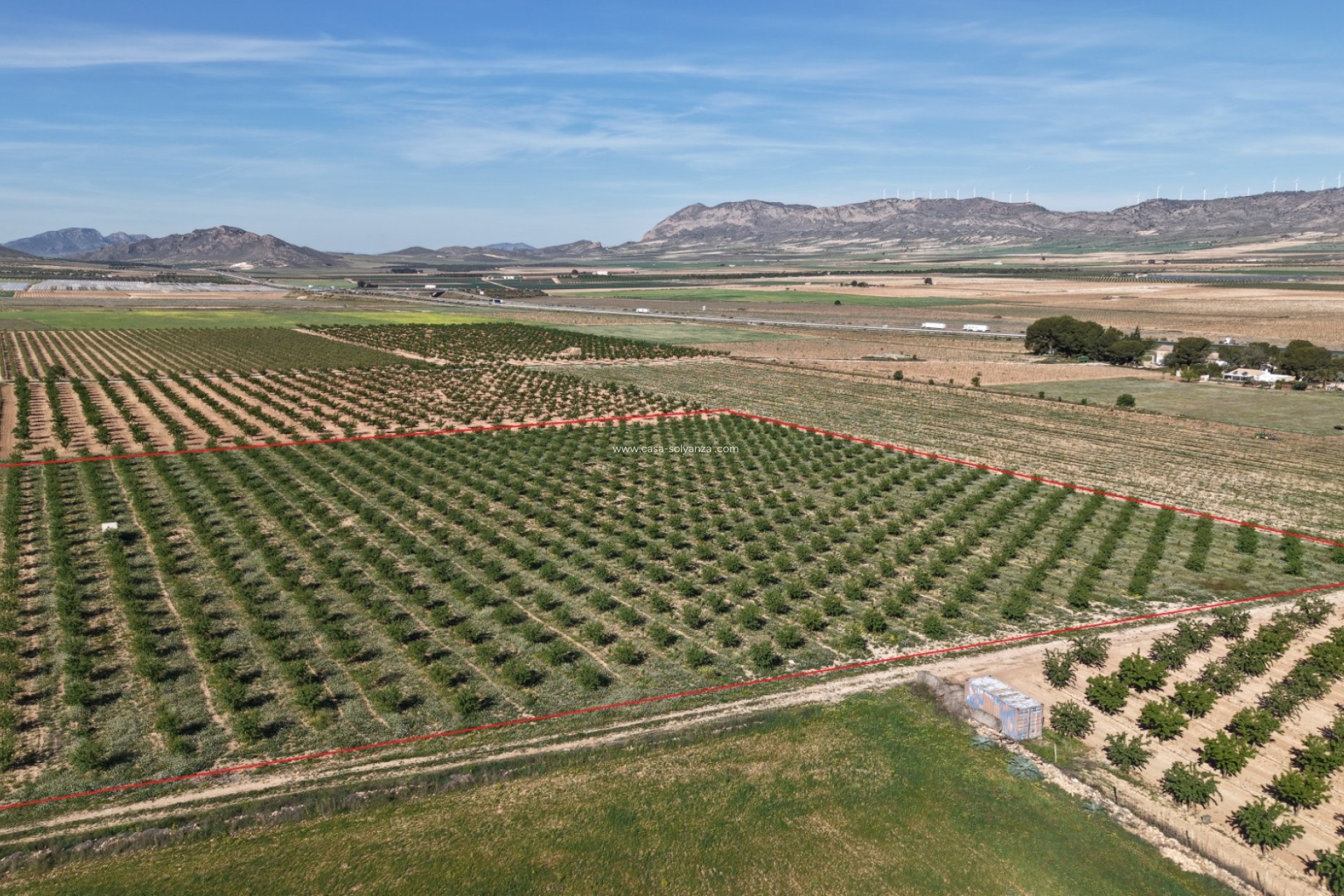 Revente - Land - Yecla - Yecla Murcia