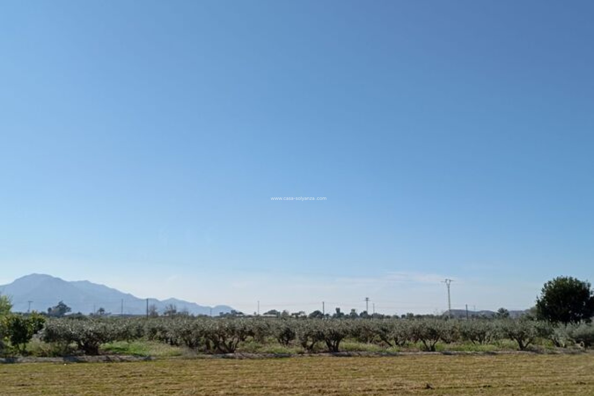 Revente - Maison de ville - Catral - Costa Blanca