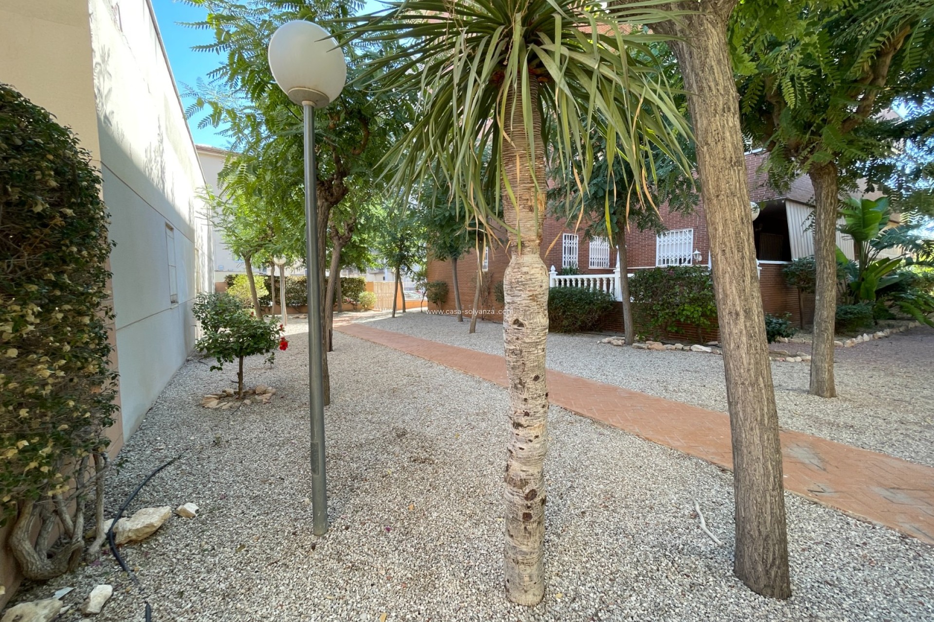 Revente - Maison de ville - Elche - Costa Blanca