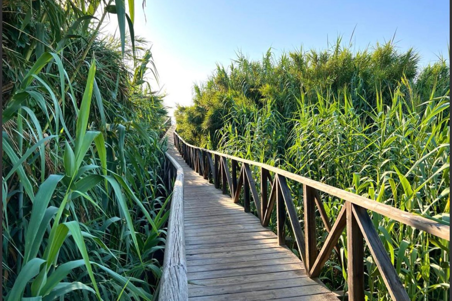 Revente - Maison de ville - Guardamar del Segura - 0