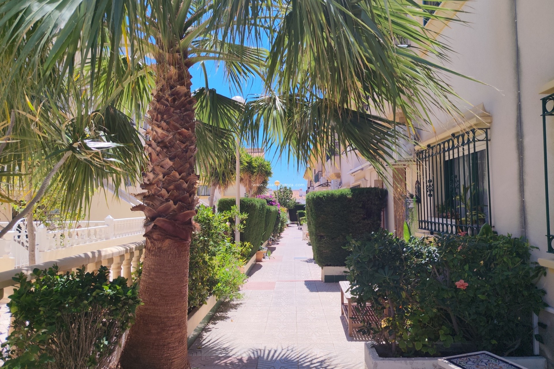 Revente - Maison de ville - La Zenia - Costa Blanca
