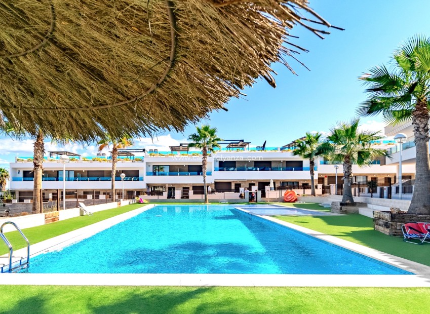 Revente - Maison de ville - Los Balcones