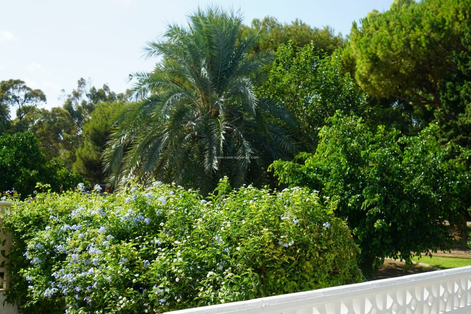 Revente - Maison de ville - Orihuela Costa - Costa Blanca