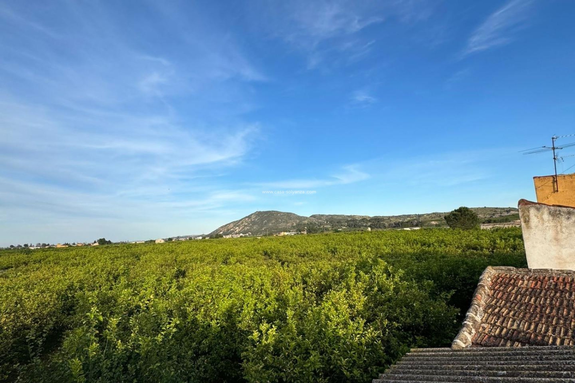 Revente - Maison de ville - Orihuela - Desamparados