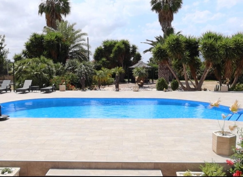 Revente - Maison de ville - Orihuela - Inland