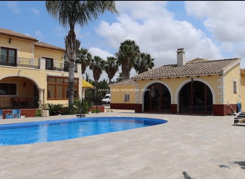 Revente - Maison de ville - Orihuela - Inland