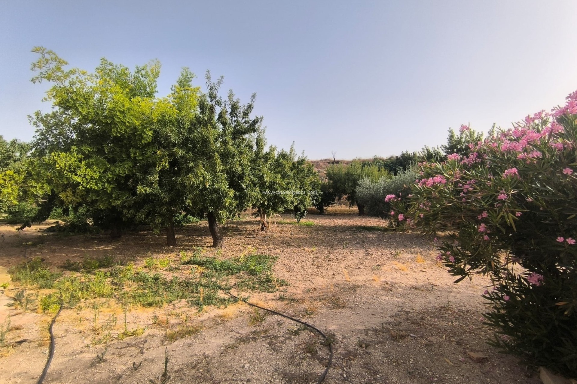 Revente - Maison de ville - Pinoso - Inland