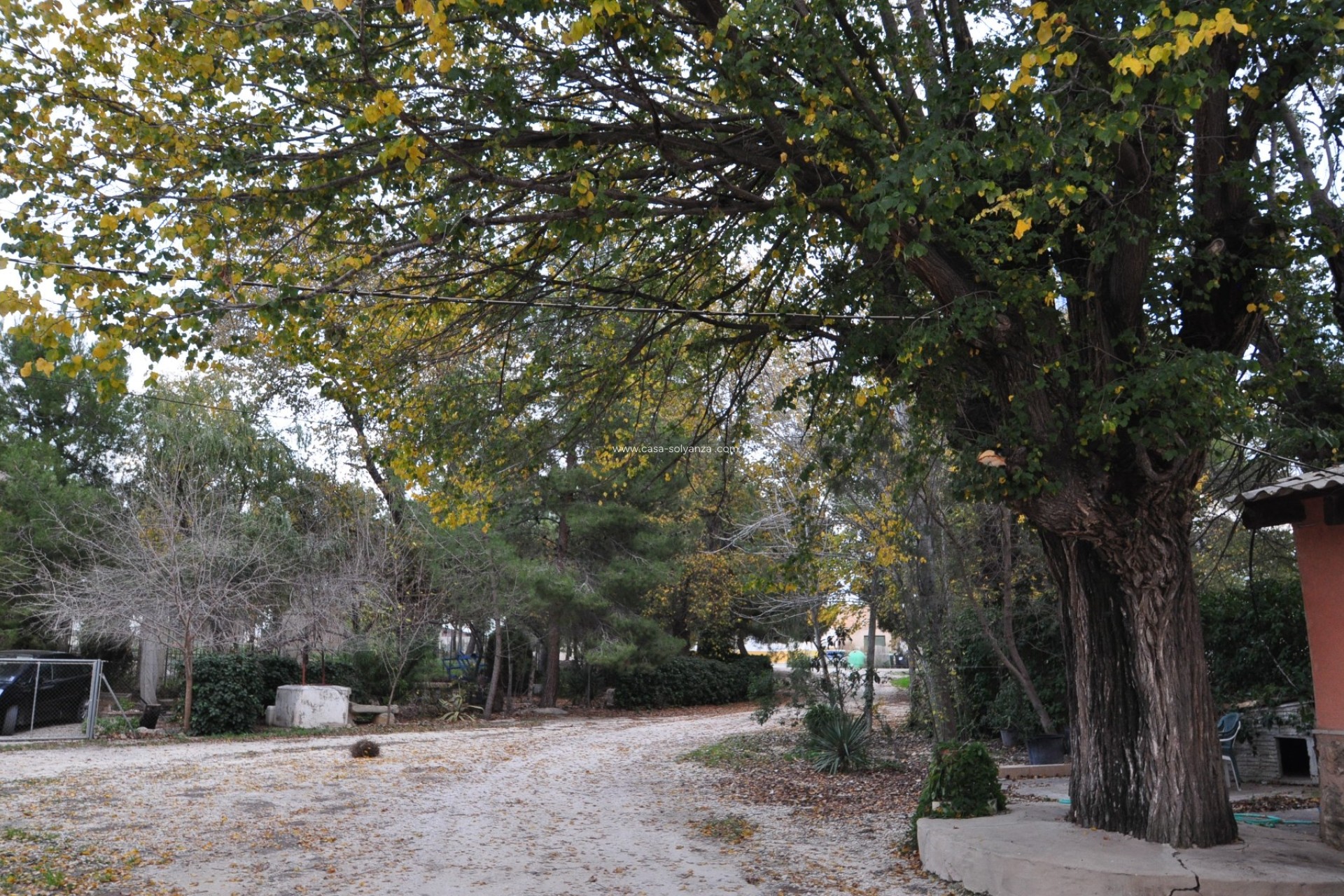 Revente - Maison de ville - Pinoso - Inland