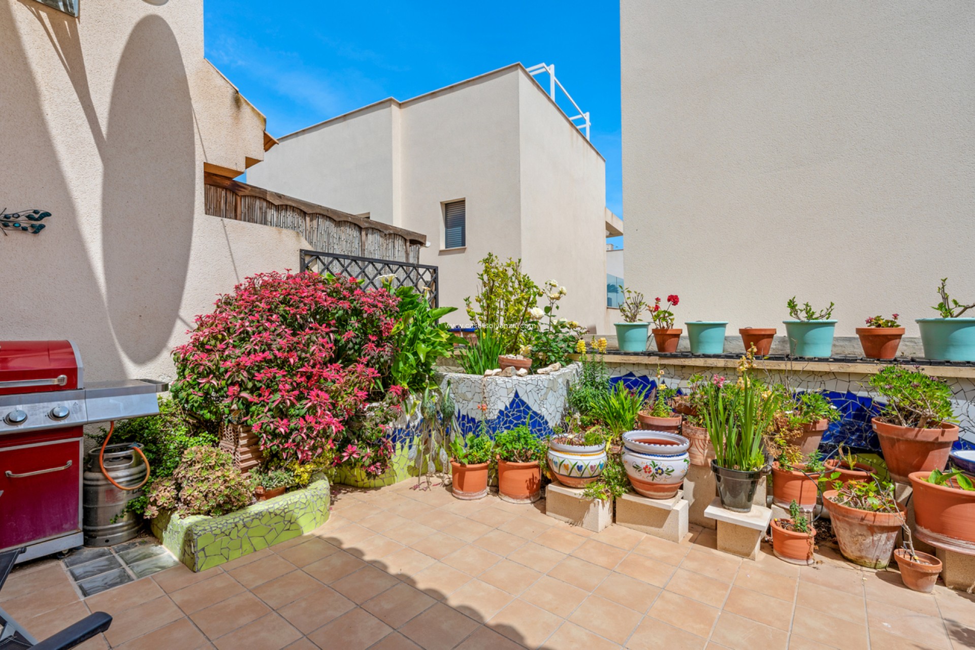 Revente - Maison de ville - San Miguel de Salinas - Inland