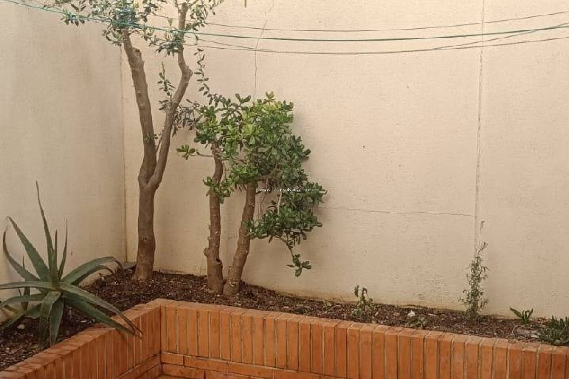 Revente - Maison de ville - San Pedro del Pinatar - Los Peñascos-el Salero-los Imbernones