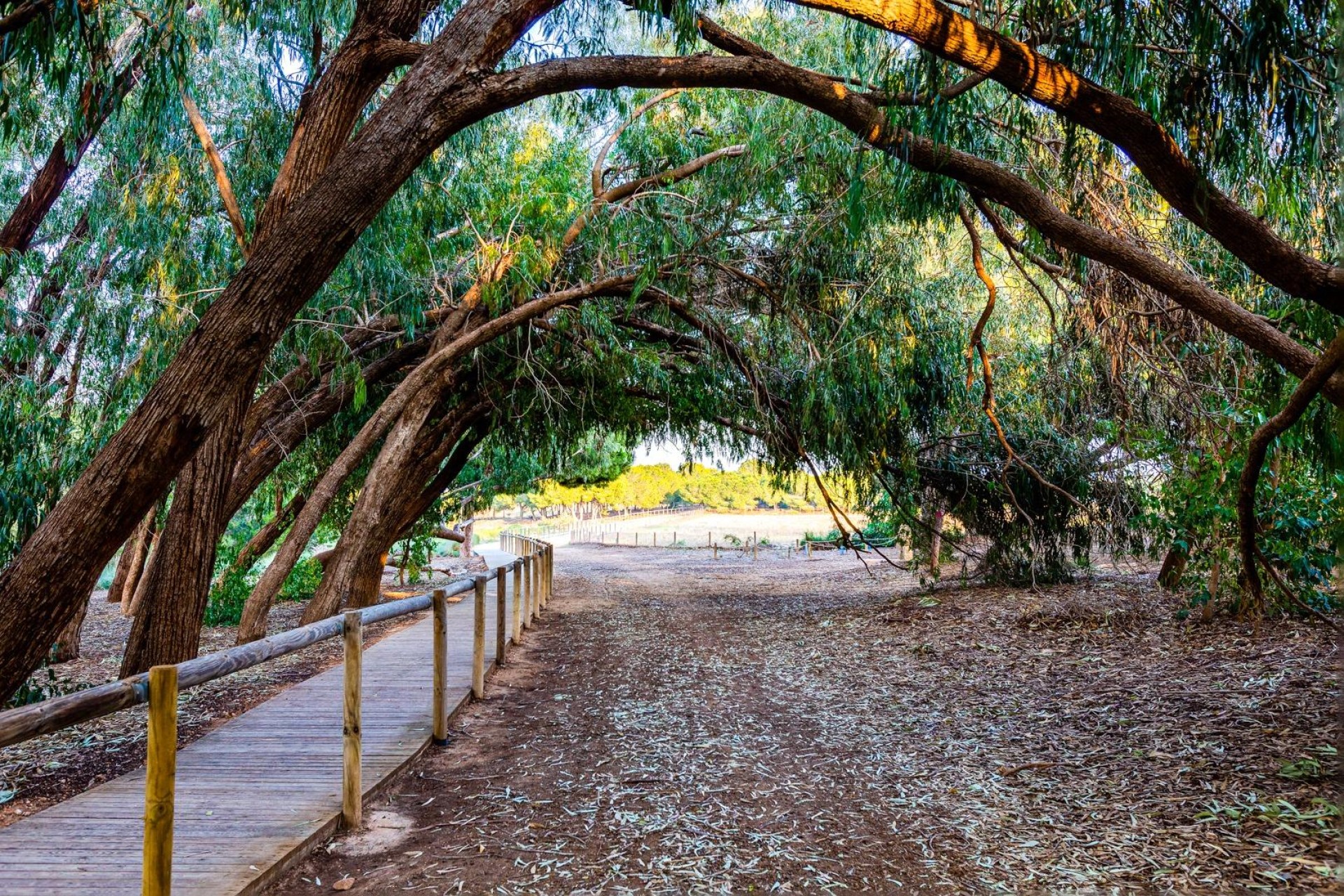 Revente - Maison de ville - Torrevieja - El Limonar