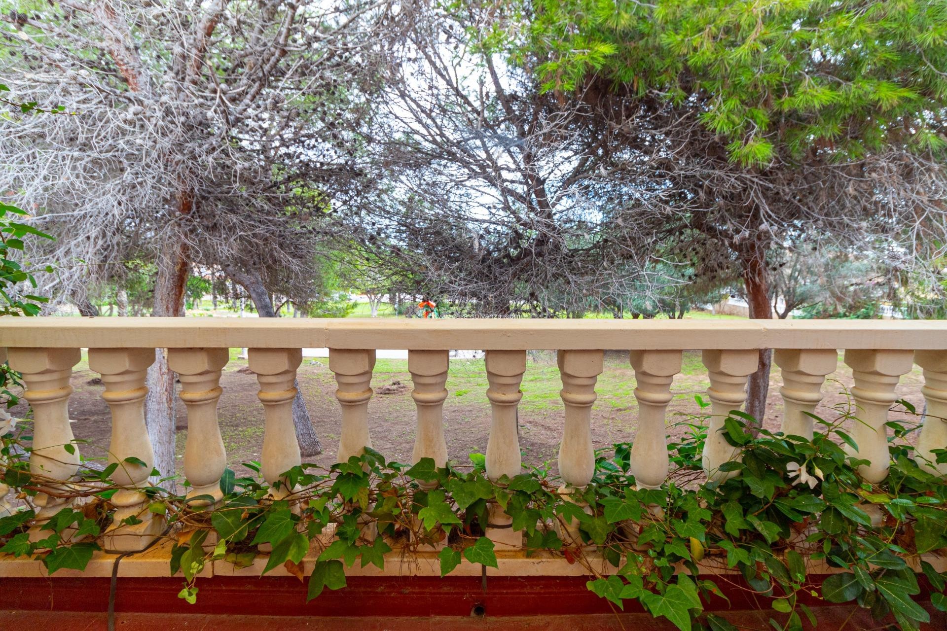 Revente - Maison de ville - Torrevieja - Los altos