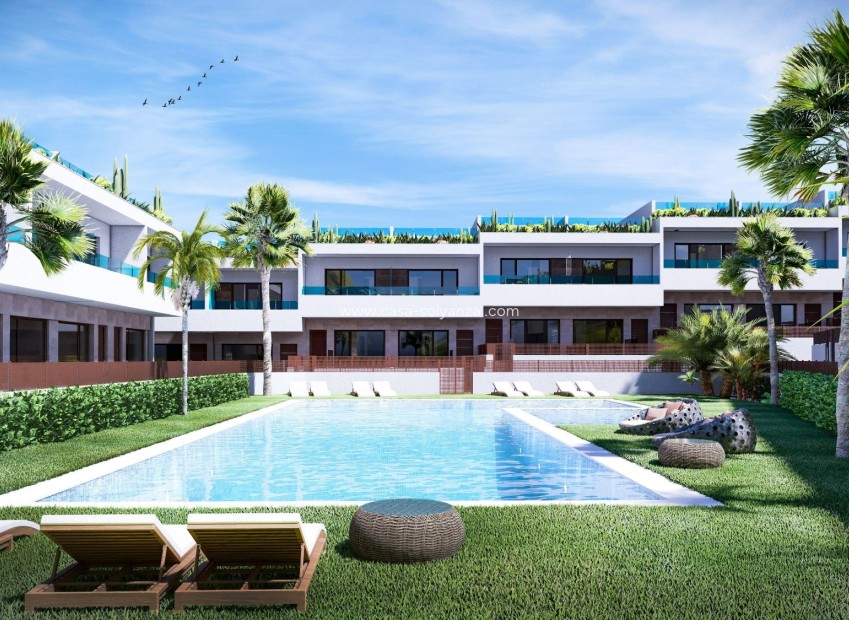 Revente - Maison de ville - Torrevieja - Los Balcones