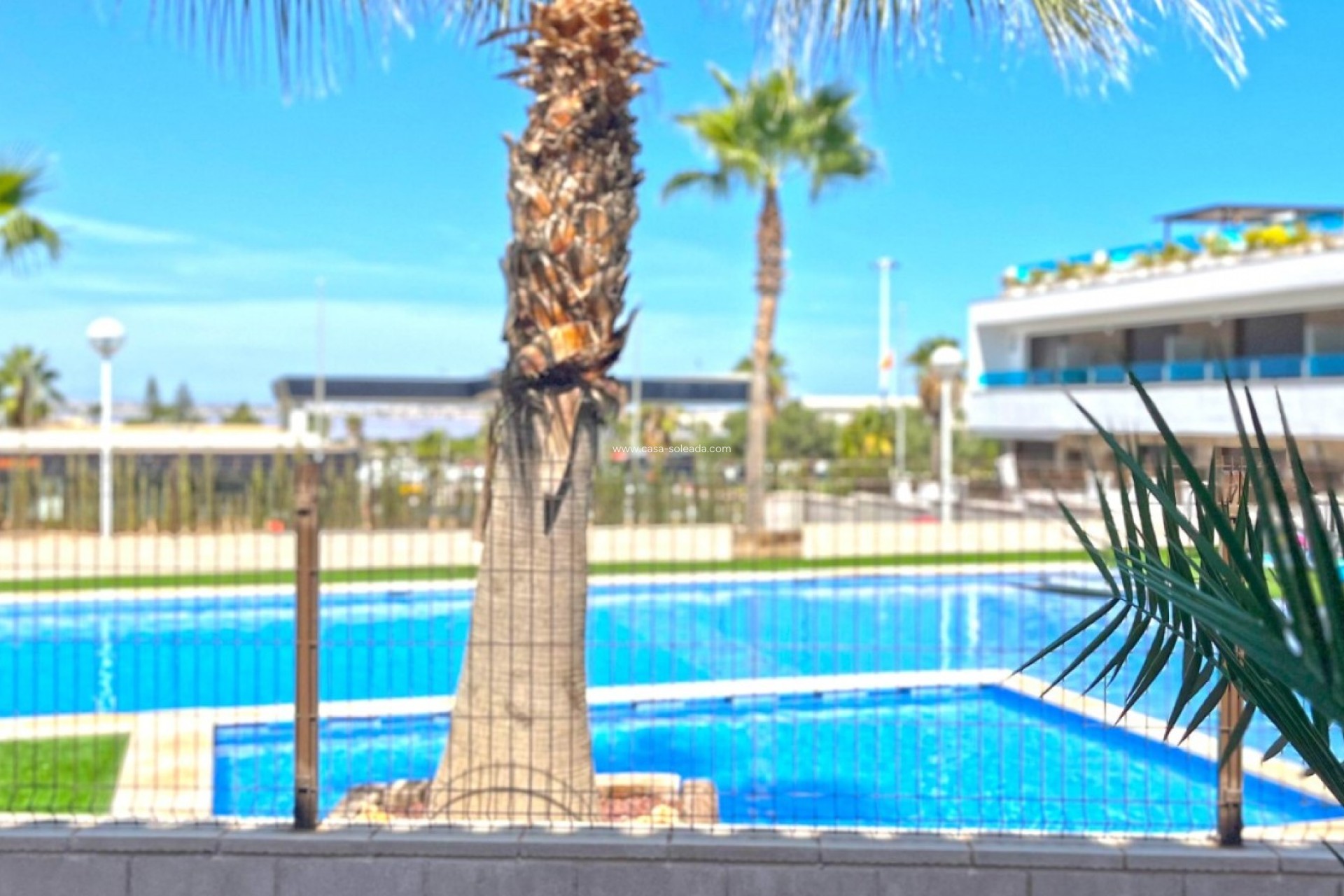 Revente - Maison de ville - Torrevieja - Los Balcones