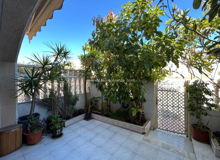 Revente - Maison de ville - Torrevieja - Torrevieja Centro