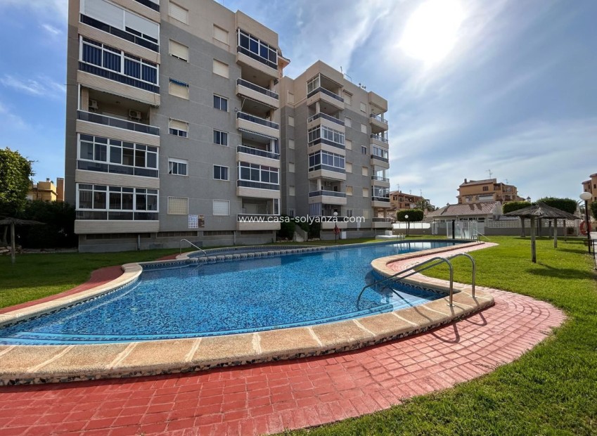 Revente - Maison de ville - Torrevieja - Torrevieja Centro