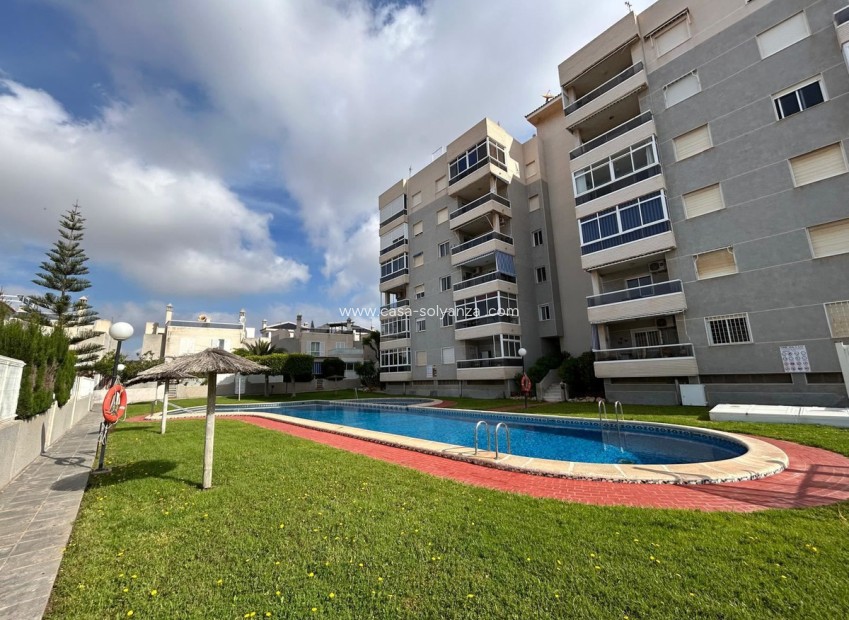 Revente - Maison de ville - Torrevieja - Torrevieja Centro