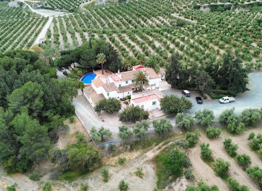 Revente - Olivar - Puerto Lumbreras - Nogalte