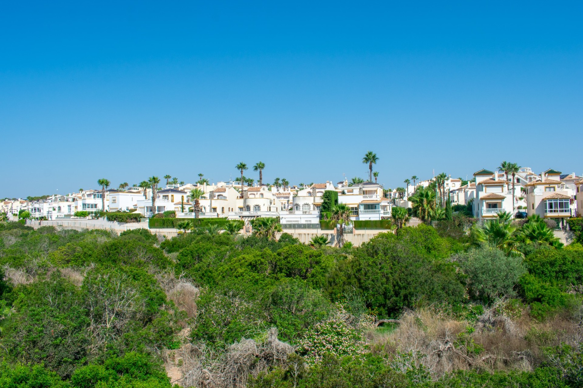 Revente - - - Orihuela - Los Dolses