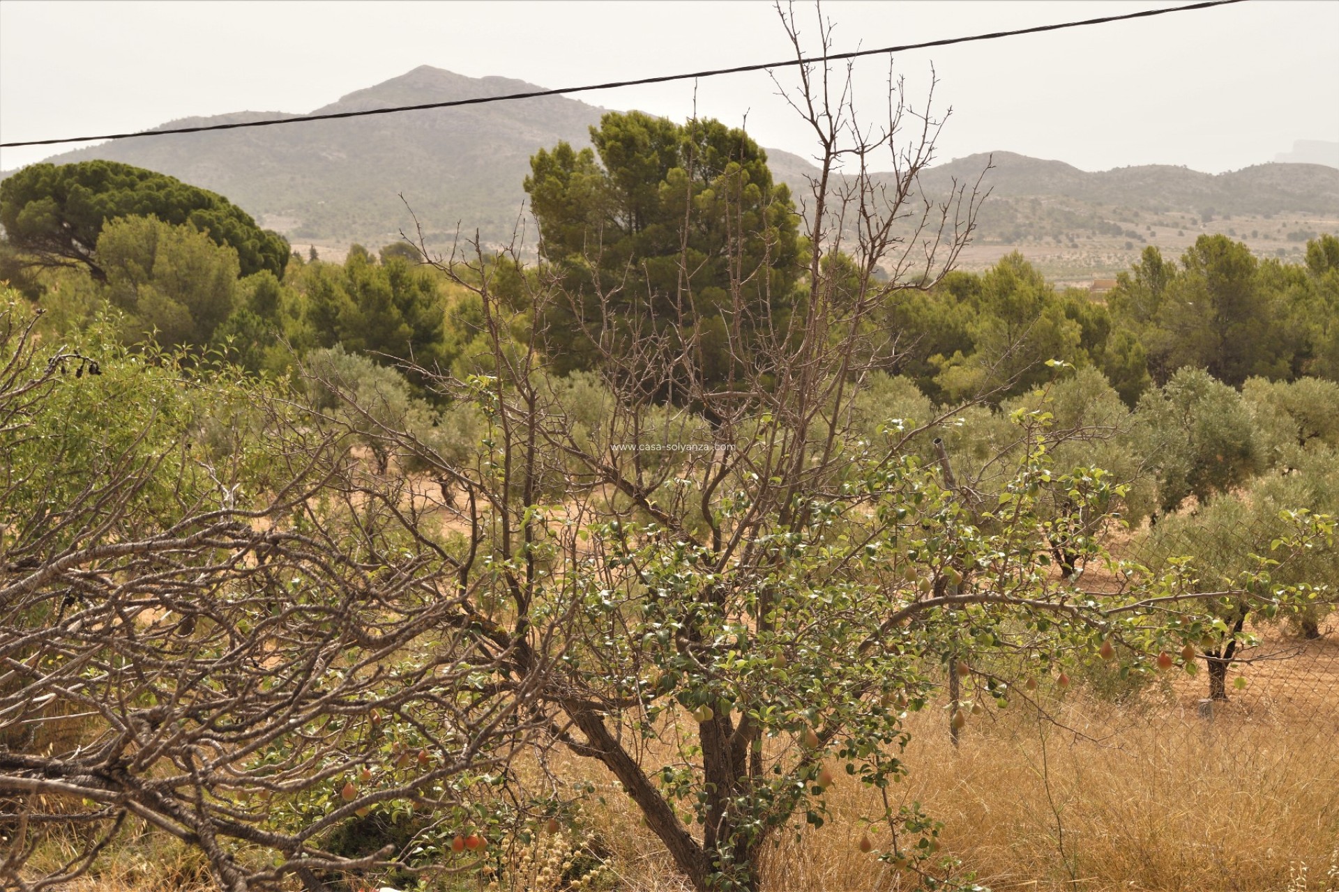 Revente - Other - Salinas - Inland