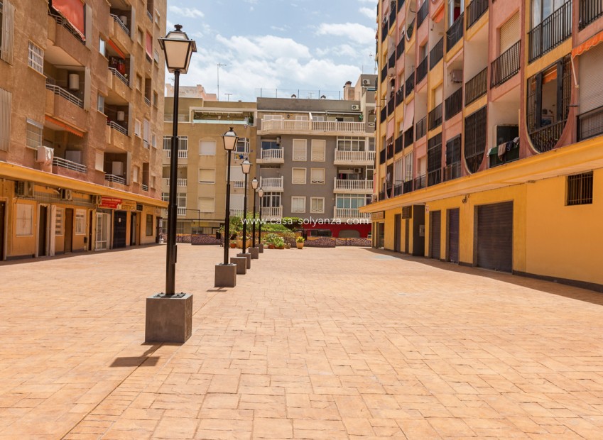 Revente - Studio - Torrevieja - Beach