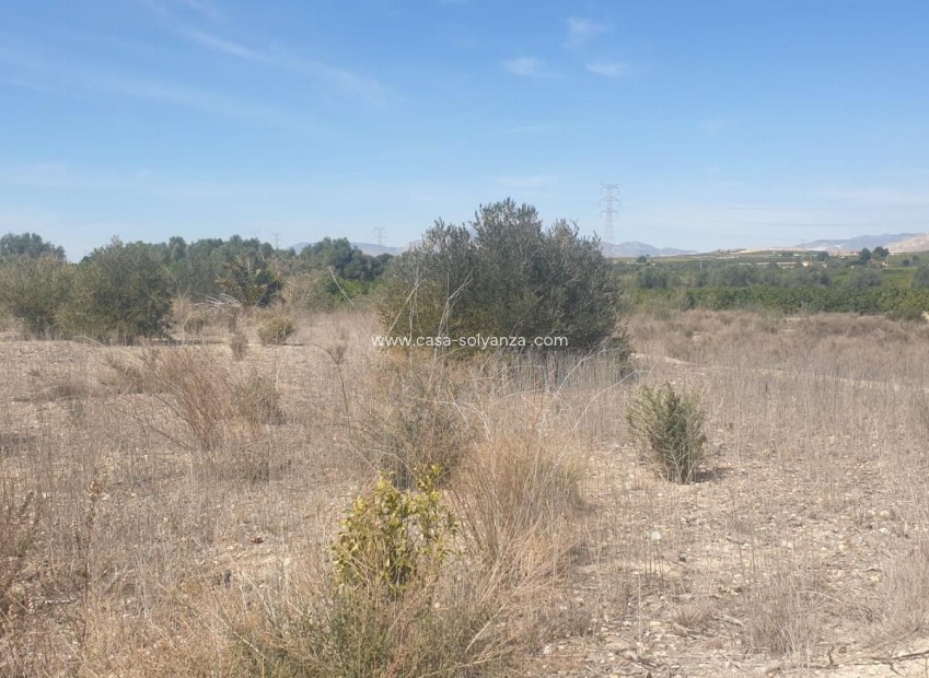 Revente - Terreno - Benferri - HUERTA PUEBLO