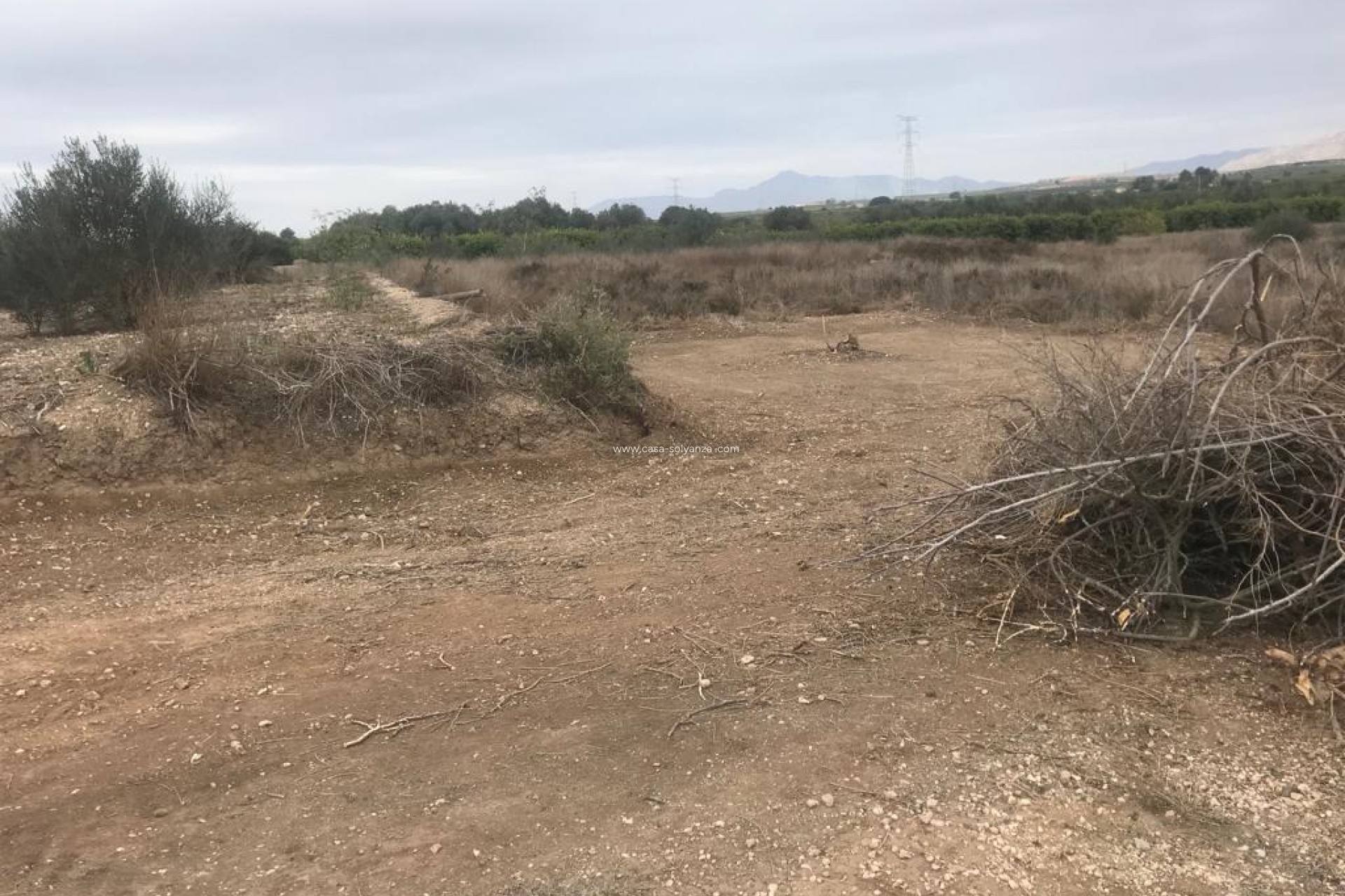 Revente - Terreno - Benferri - HUERTA PUEBLO