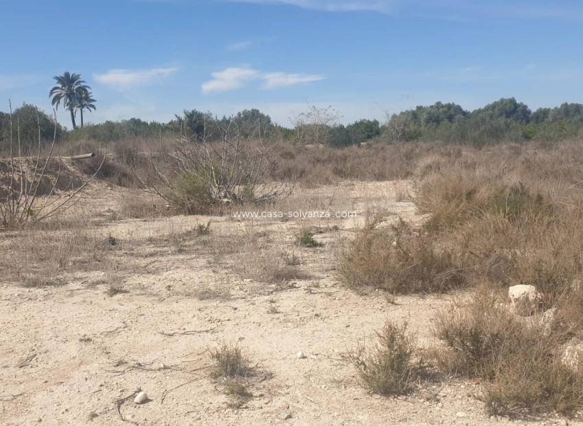Revente - Terreno - Benferri - HUERTA PUEBLO