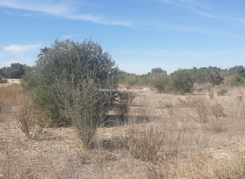 Revente - Terreno - Benferri - HUERTA PUEBLO