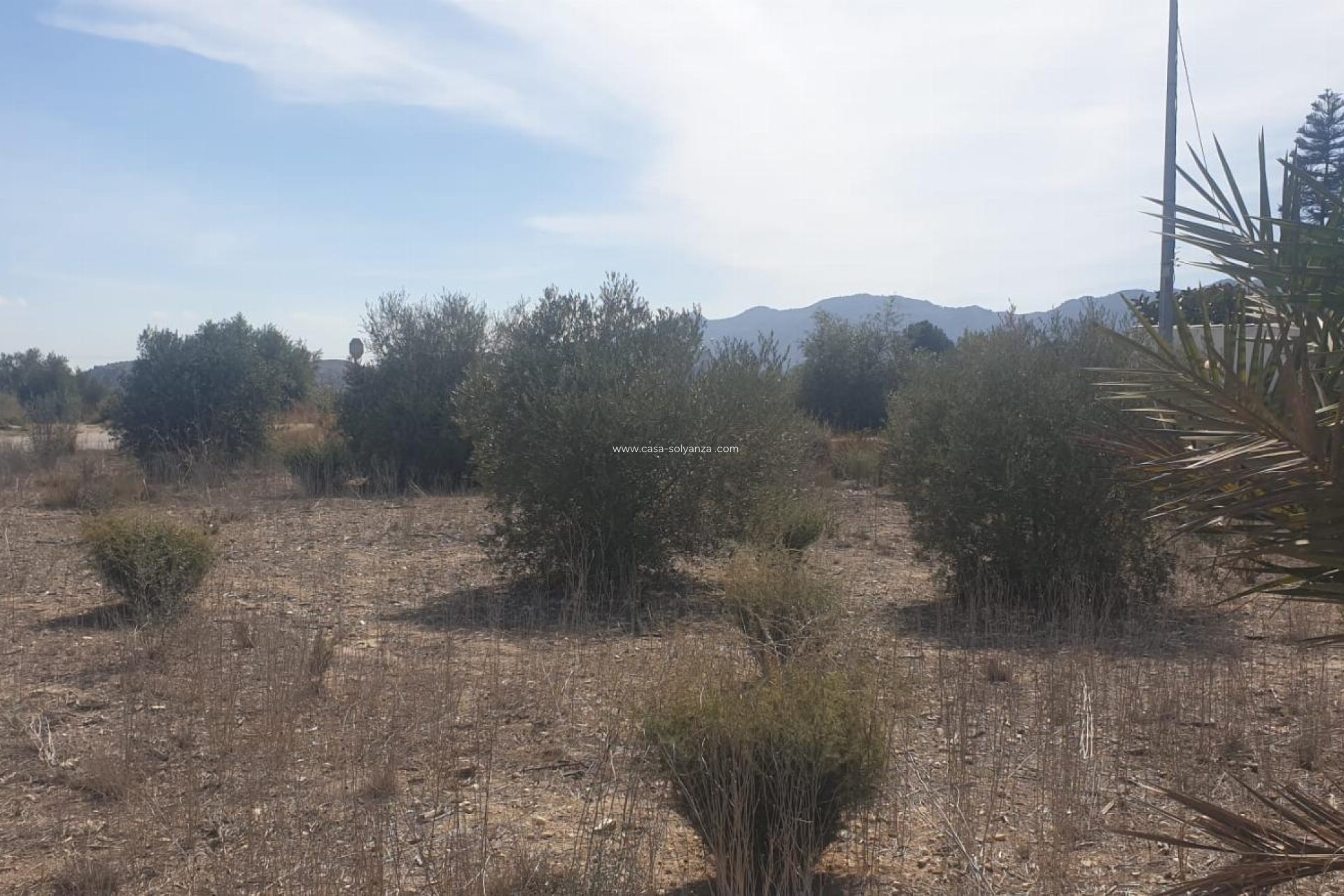 Revente - Terreno - Benferri - HUERTA PUEBLO