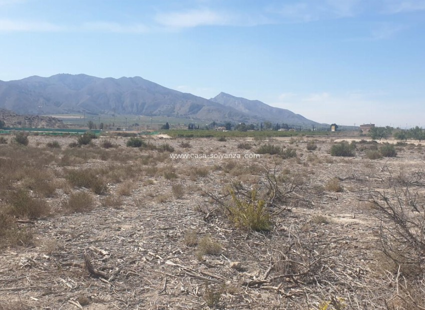 Revente - Terreno - Benferri - HUERTA PUEBLO
