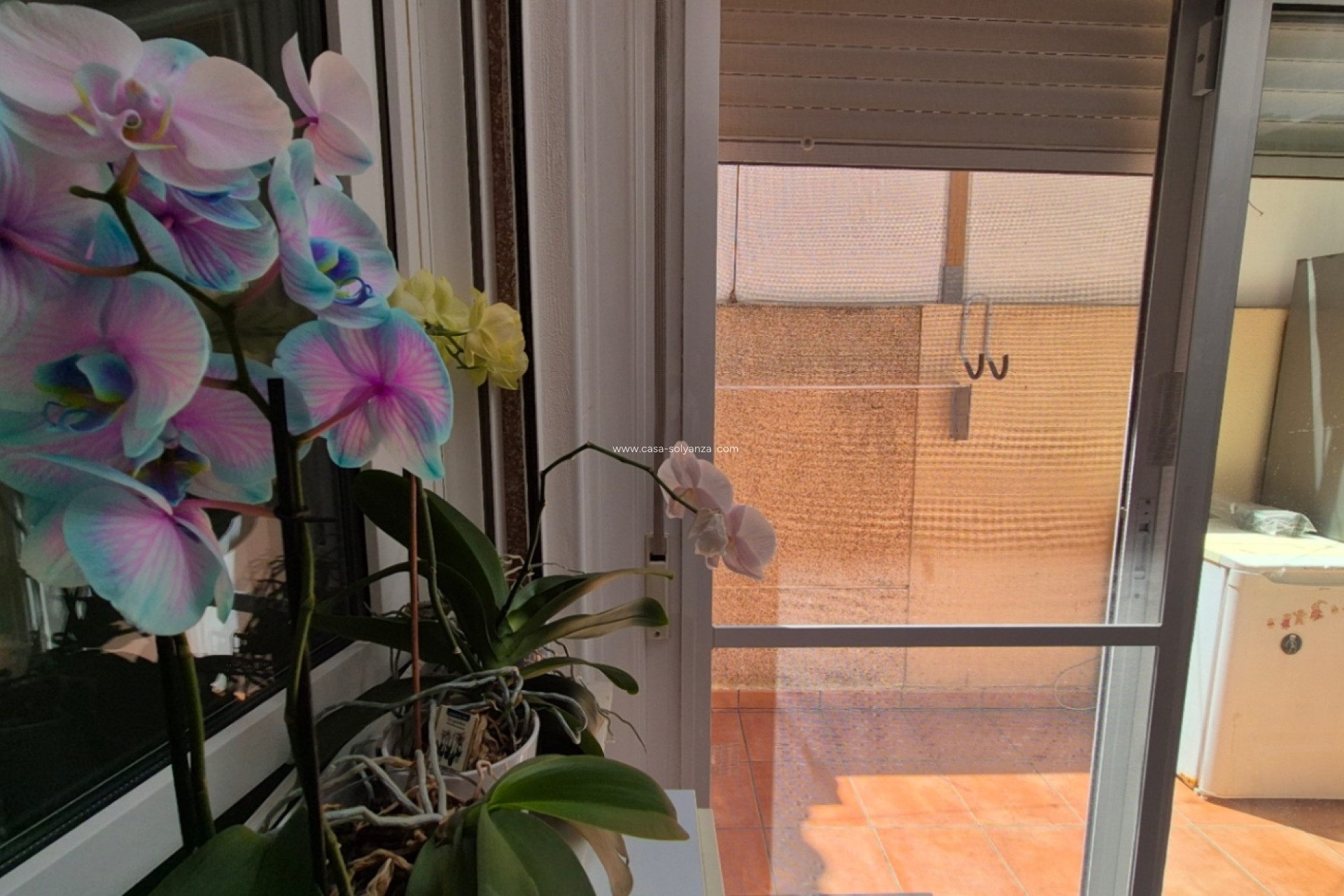 Revente - town_house - Torrevieja - Costa Blanca Sur