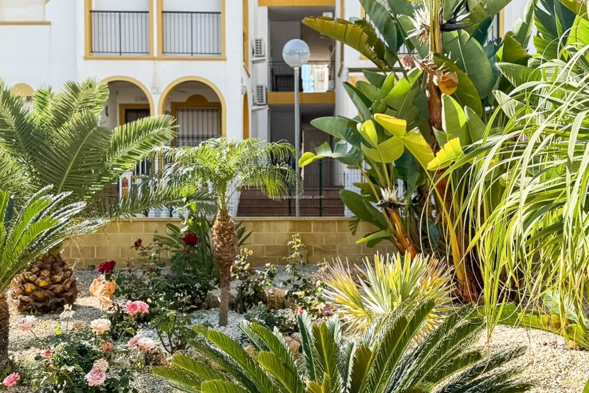 Revente - town_house - Torrevieja - La Mata