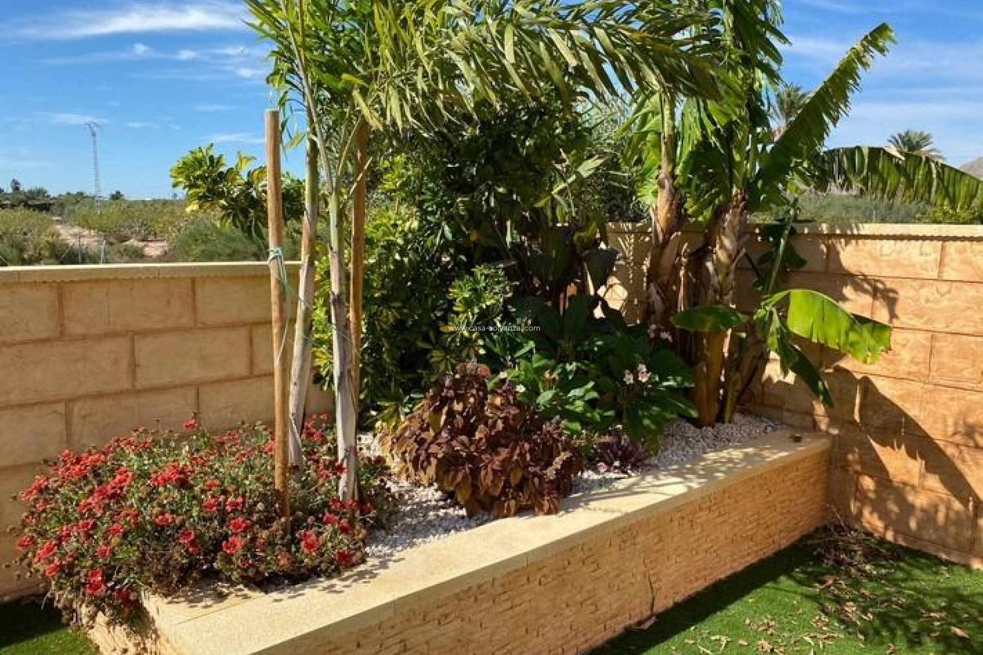 Revente - Villa - Albatera - Campo De Albatera