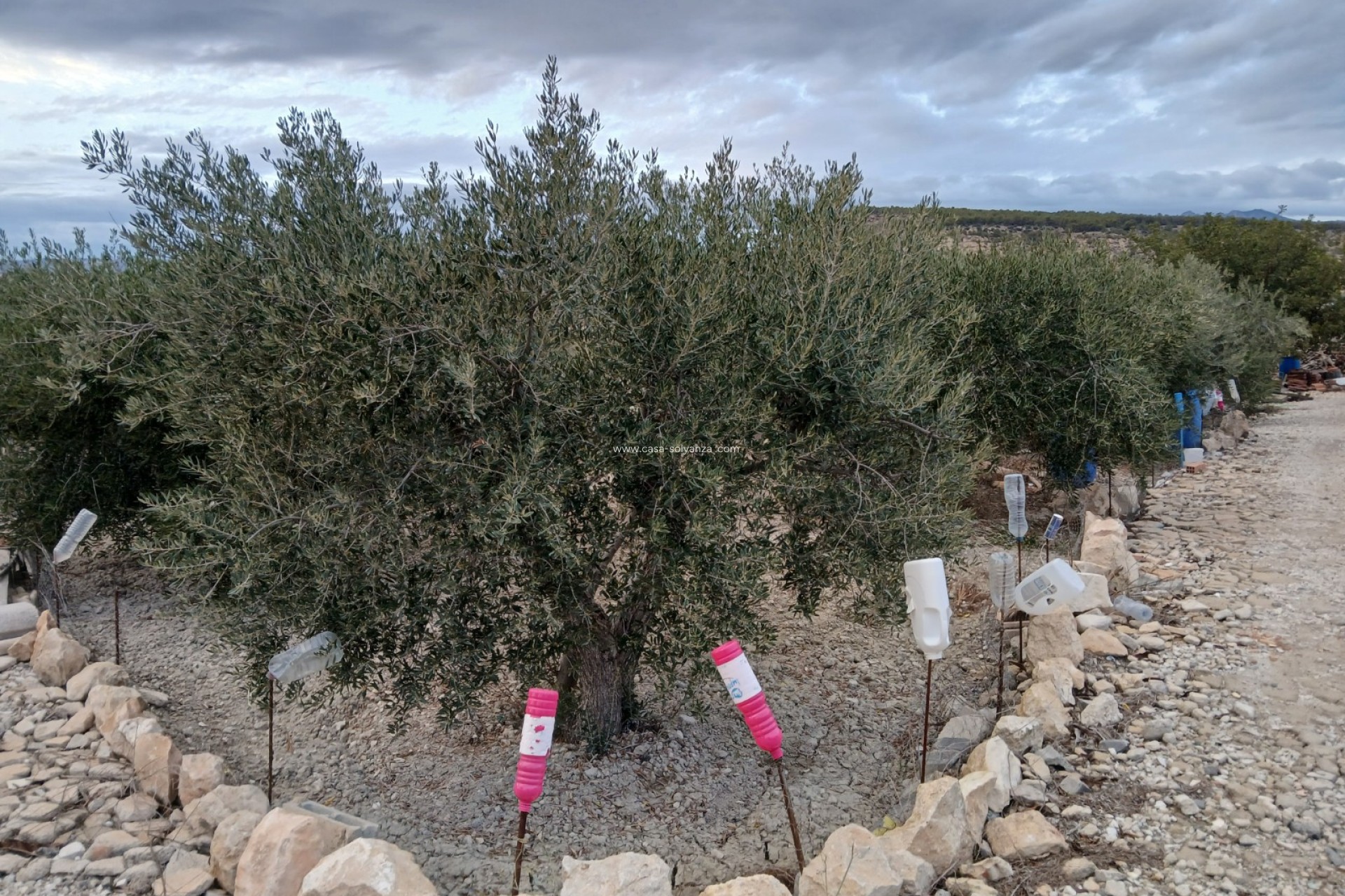 Revente - Villa - Albudeite - Inland