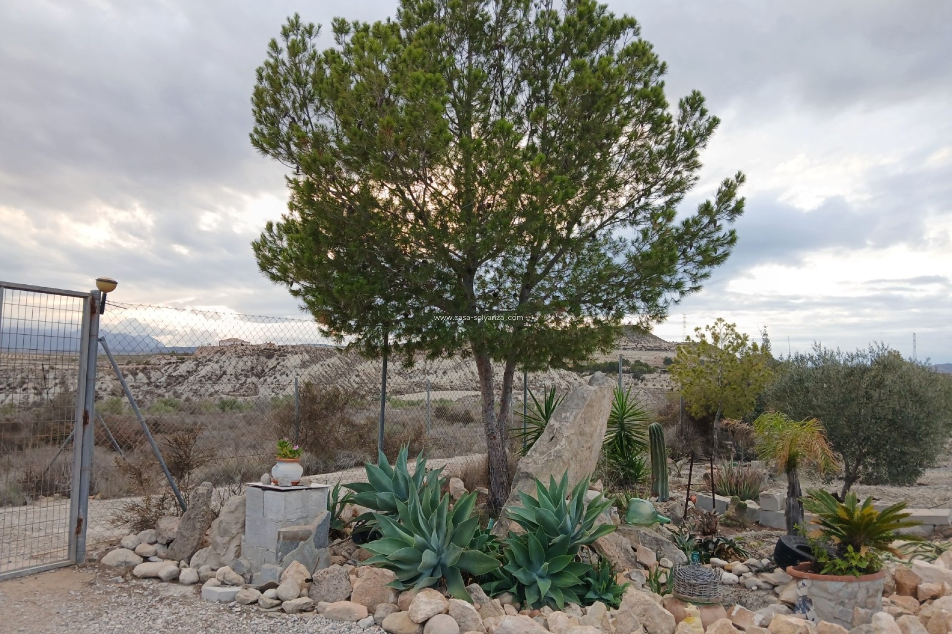 Revente - Villa - Albudeite - Inland