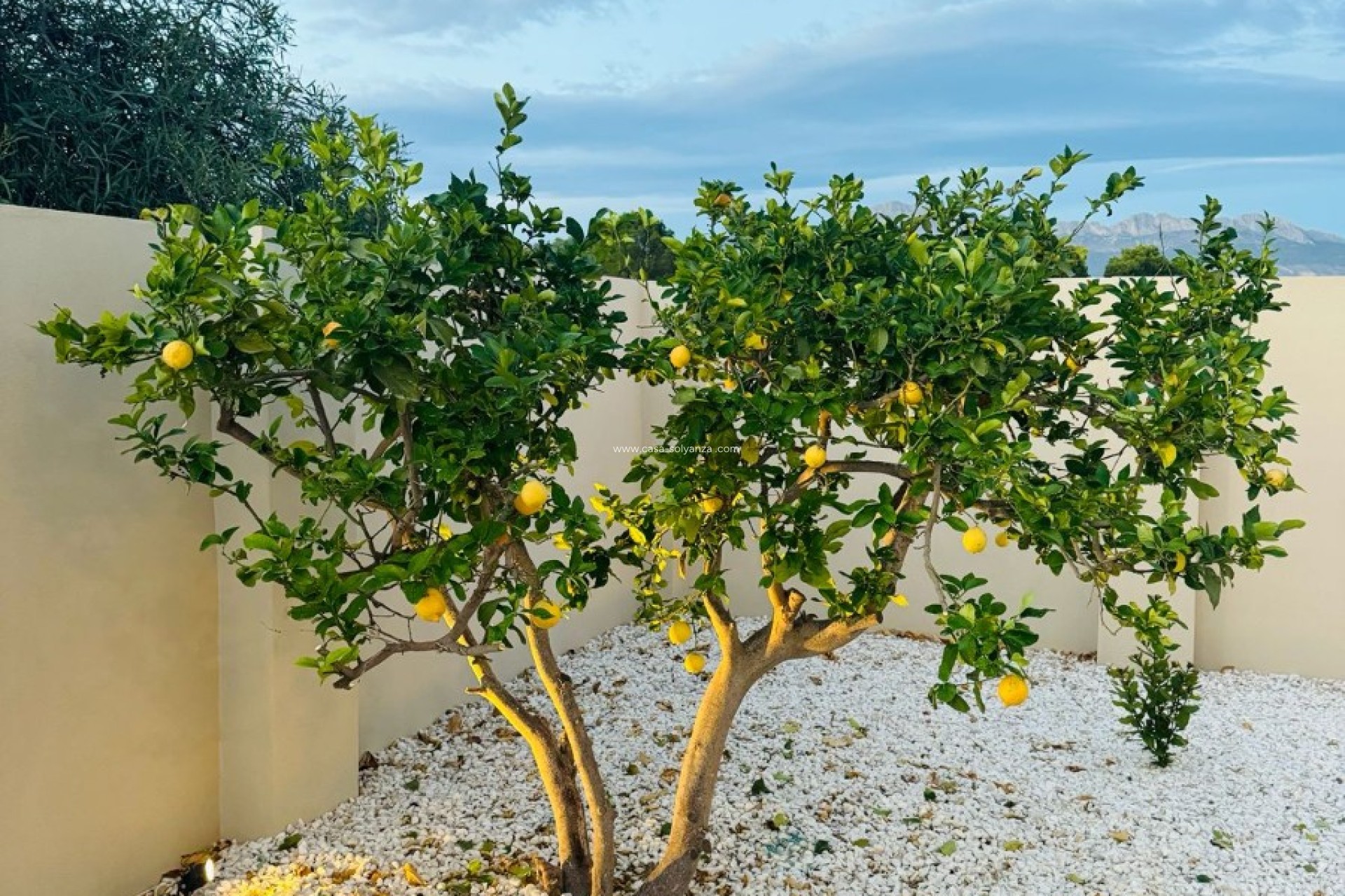 Revente - Villa - Alfas del Pí - Costa Blanca