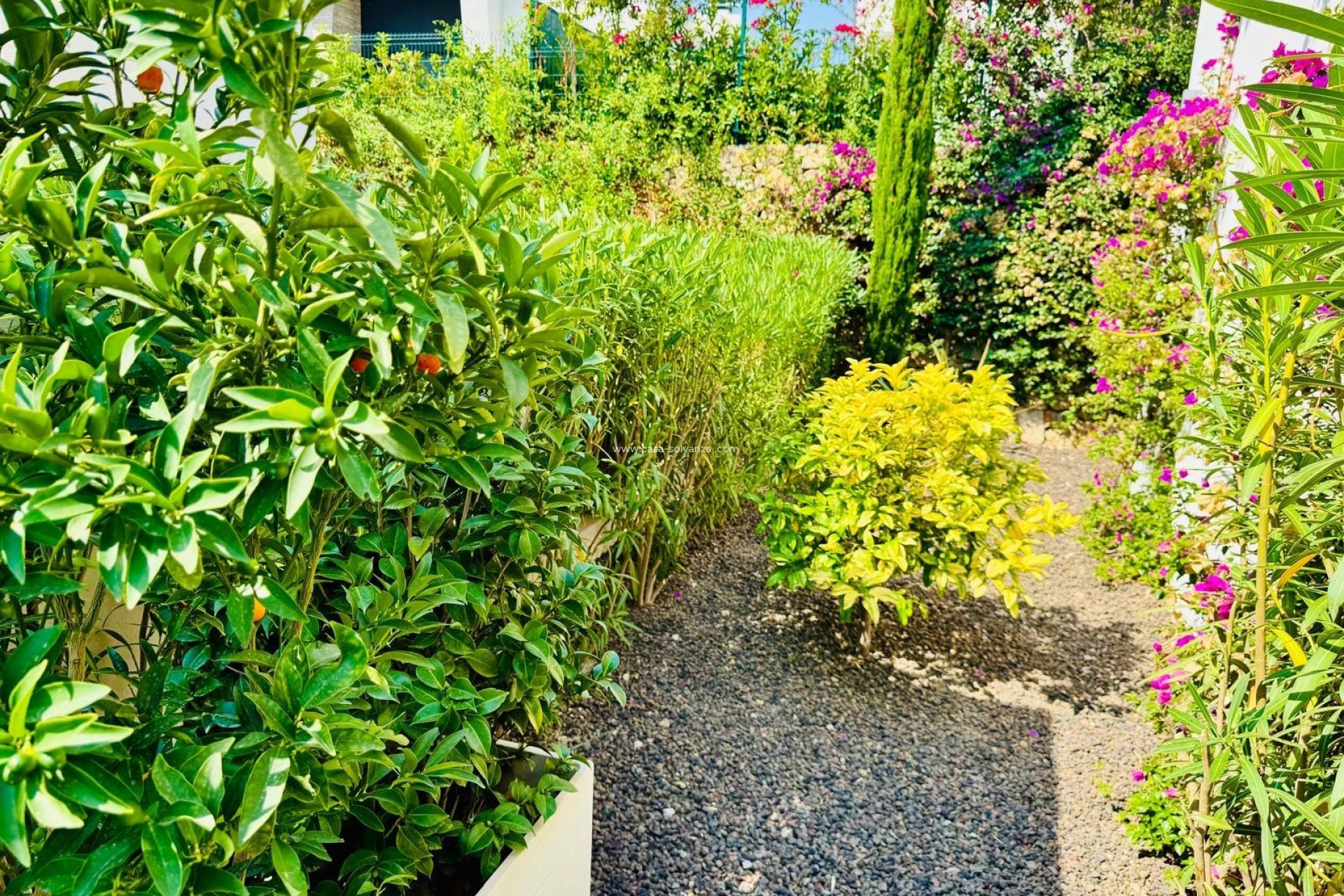 Revente - Villa - Algorfa - Club De Golf La Finca