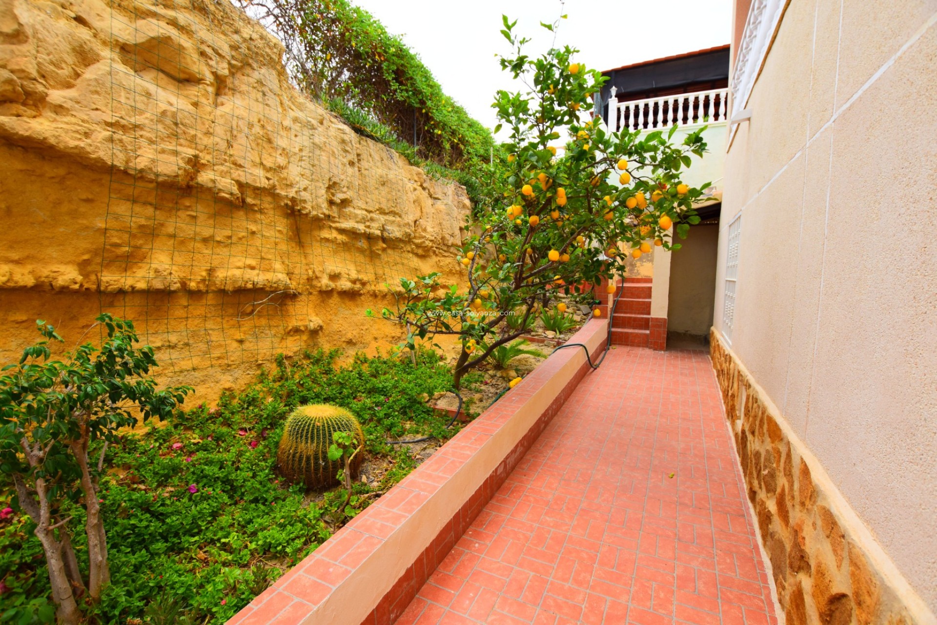 Revente - Villa - Algorfa - Inland