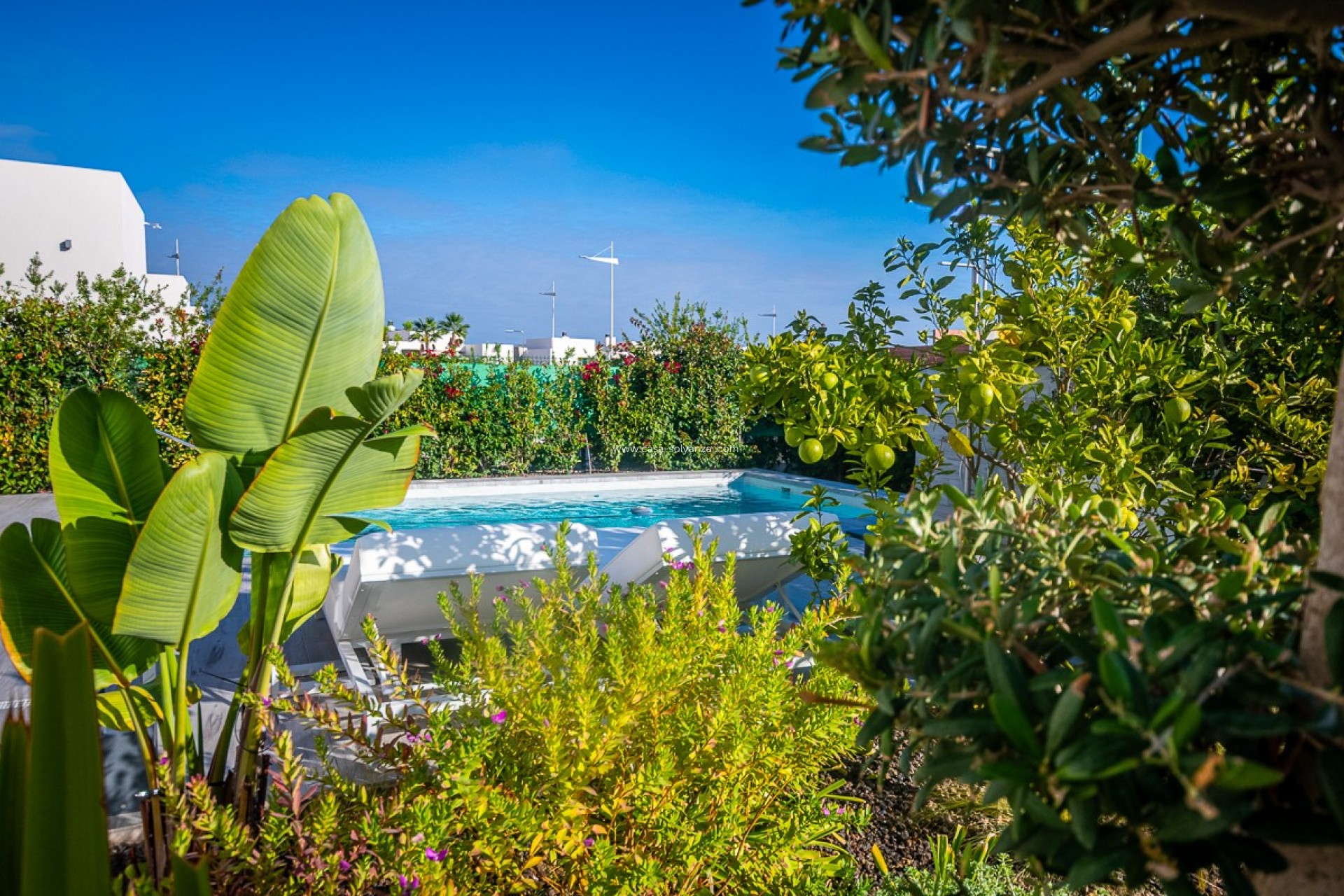 Revente - Villa - Algorfa - Inland